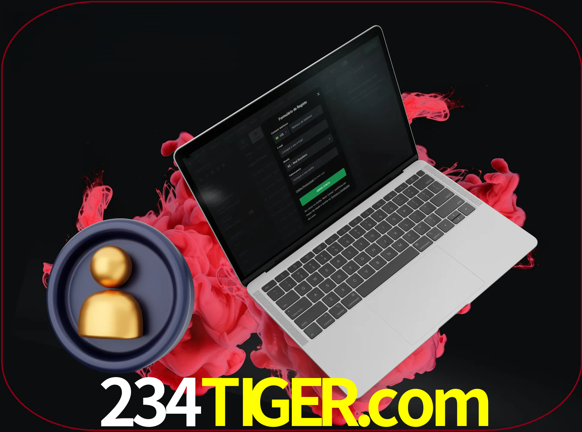 No cabeçalho do site 234tiger, clique no botão que o levará a um formulário especial onde terá de introduzir as suas informações actuais.