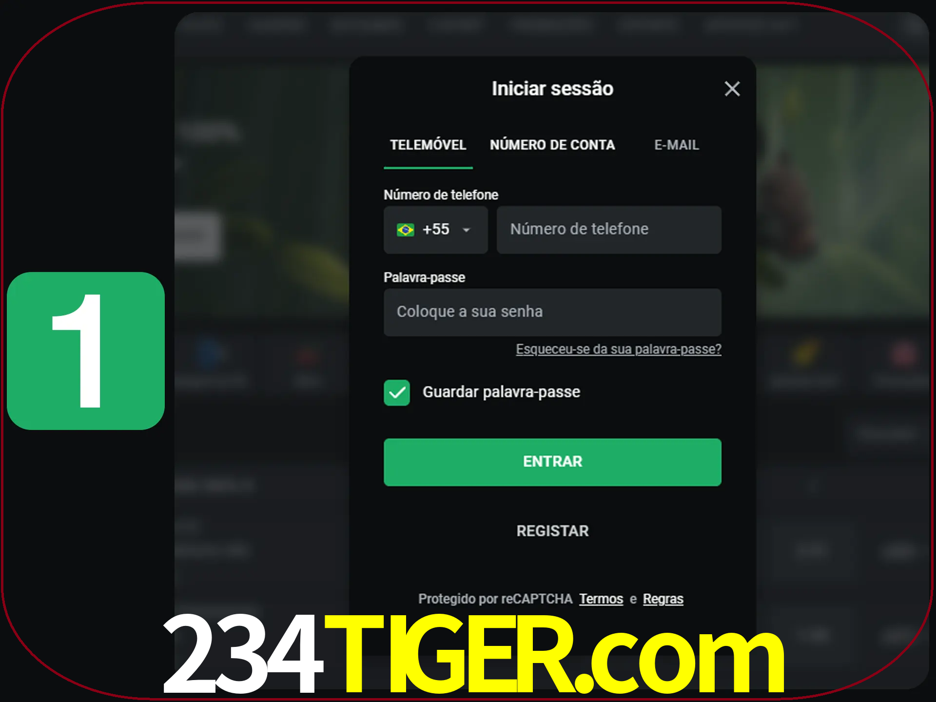 Clique no botão Entrar.